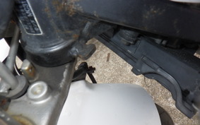 HONDA HORNET 250 MC31