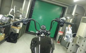 HARLEY FXBB1920 2025