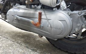HONDA ZOOMER AF58