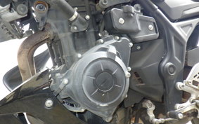 YAMAHA MT-25 RG10J
