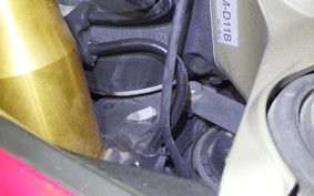 DUCATI 1299 PANIGALE S 2017