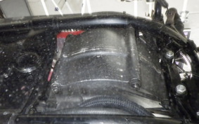 HARLEY FLSTC 1340 1989