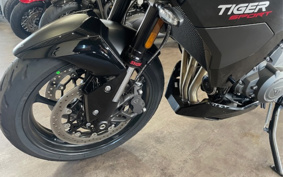 TRIUMPH TIGER SPORT 800 2025 L25P19