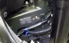 YAMAHA MT-09 A 2019 RN52J