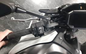 KAWASAKI Z900 2022 ZR900B