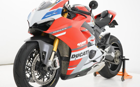DUCATI PANIGA-REV4S CORSE 2019