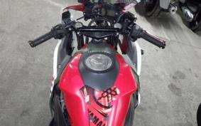 YAMAHA YZF-R25 2008 RG10J