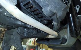 HONDA ZOOMER 2026 AF58