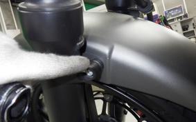 HONDA VTR 250 Gen. 2 MC33