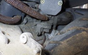 SUZUKI ADDRESS V100 CE11A