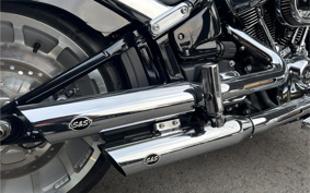 HARLEY  HARLEY FLFBS 2021 YGK