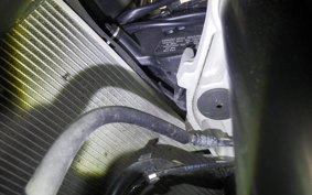 KAWASAKI NINJA 1000 A 2019 ZXT00W