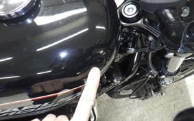 OTHER +HD. XL883R-I 2014