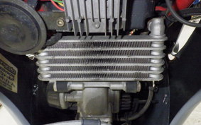 DUCATI SS1000DS 2006