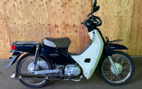 HONDA SUPER CUB50 AA04