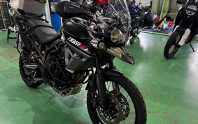 TRIUMPH  TRIUMPH  TIGER 800XCA 2018 TRE18B