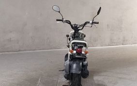 HONDA ZUMAR AF58