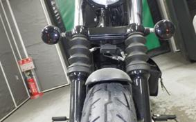 HARLEY XL883N 2019