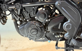 BENELLI RE ON CHI-NO250