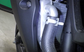 YAMAHA MT-25 A 2021 RG74J