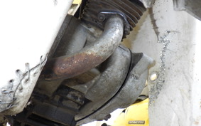 SUZUKI CELL PET 50 M30