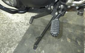 TRIUMPH SCRAMBLER400X 2024