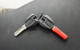 DUCATI 1299 PANIGALE 2016