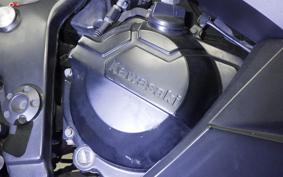 KAWASAKI NINJA 250 2019 EX250L