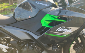 KAWASAKI NINJA 250 EX250Y