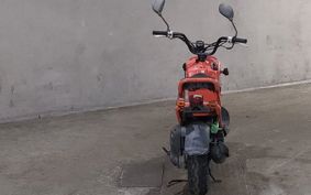 HONDA ZUMAR AF58