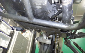 YAMAHA TDR250 2015 2YK