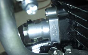KAWASAKI Z1000 2024 Z1F