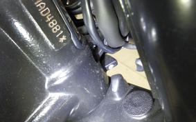 TRIUMPH SPEED TWIN 2020