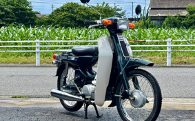 YAMAHA MATE50DX V50