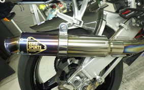 SUZUKI GSX-R1000 2001