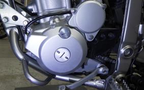 KAWASAKI KLX250 Gen.2 2021 LX250S