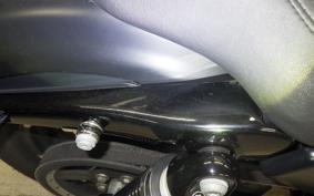 HARLEY XL883N 2019