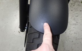 HONDA REBEL 250 A MC49