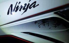 KAWASAKI NINJA 250R EX250K