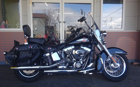 HARLEY FLSTC 2017 BWV