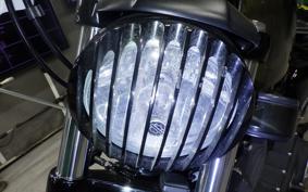HARLEY XL883N 2015