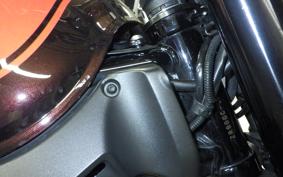 KAWASAKI Z900RS 2020 ZR900C