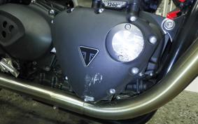 TRIUMPH SPEED TWIN 2024