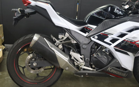 KAWASAKI NINJA 250 EX250L