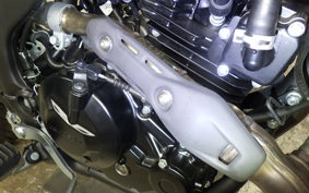 KAWASAKI KLX230 SM 2016 LX232A