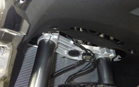 KAWASAKI NINJA 1000 SX 2025 ZXT02K