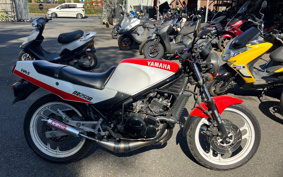 YAMAHA RZ250R 29L