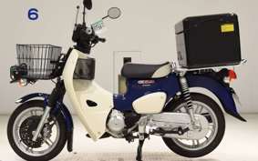 HONDA C110 SUPER CUB JA61