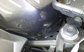 KAWASAKI NINJA 250 EX250P