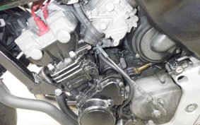 HONDA HORNET 250 MC31